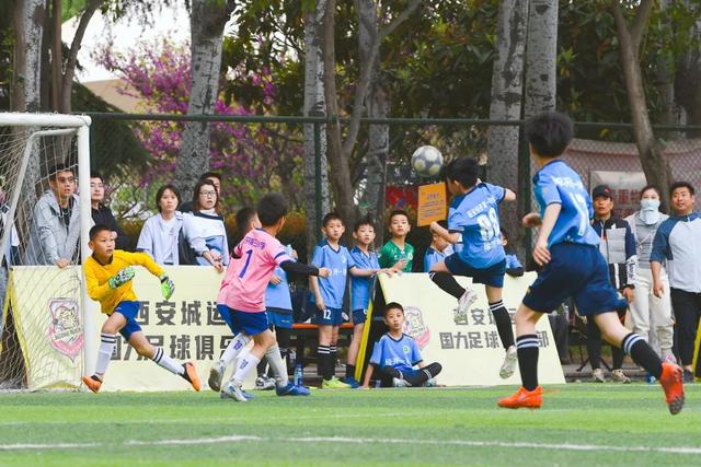 关于欢呼雀跃的足球场上,球员们全力以赴挑战对手的信息 关于欢呼雀跃的足球场上,球员们全力以赴挑战对手的信息