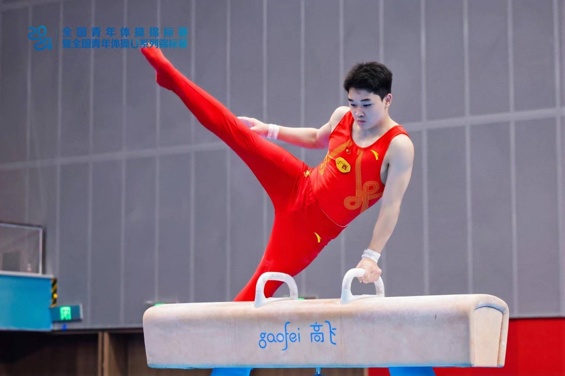 aoa体育馆-体操选手表现优异，给人深刻印象(体操选手表现优异,给人深刻印象的句子)