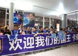 aoa体育馆-包含卡佩罗指导的江苏苏宁连胜，发挥出色排名迅速攀升的词条