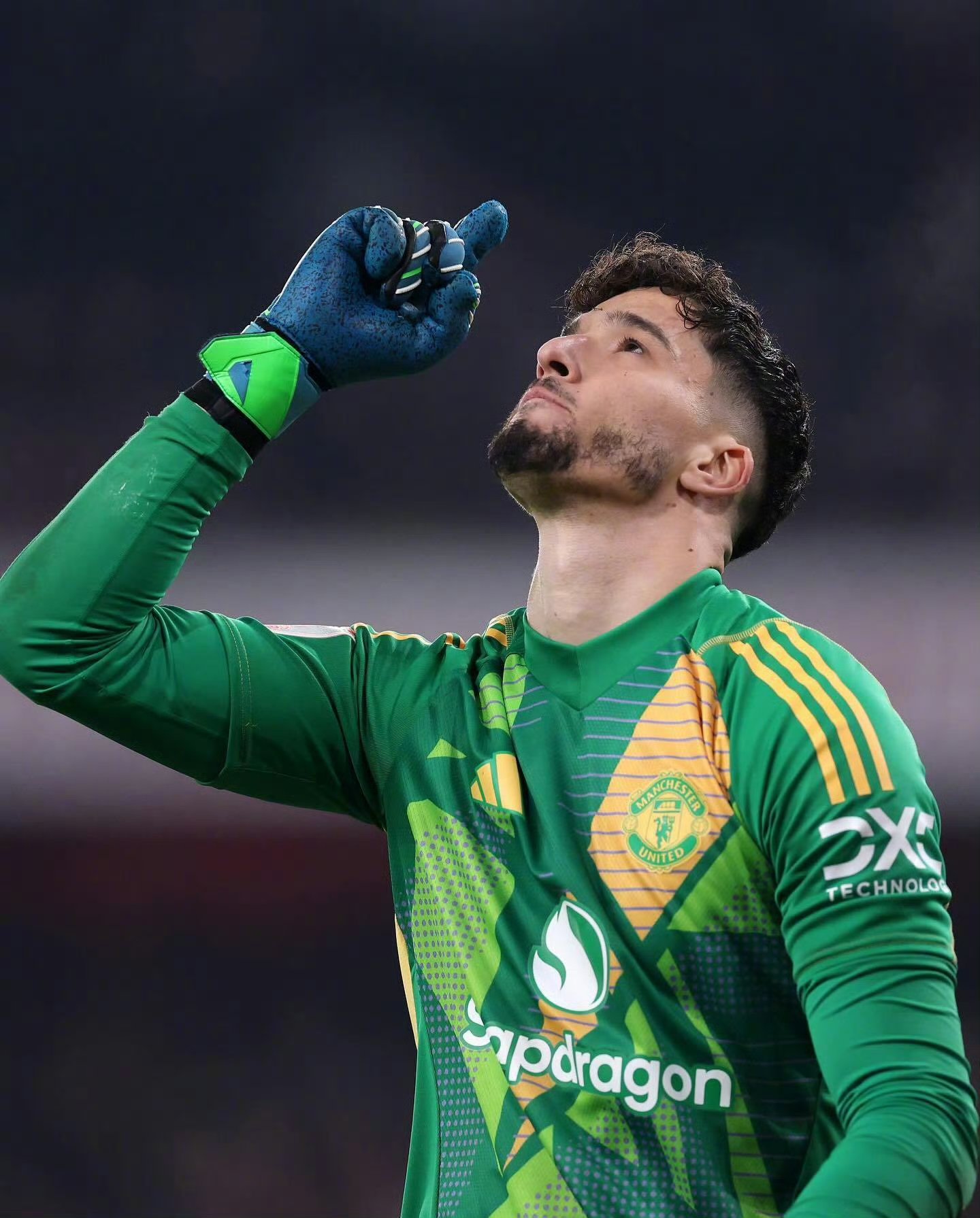 aoa体育教练-关于阿森纳淘汰普利茅斯，晋级足总杯第五轮的信息